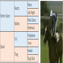 欧州型ノーザンダンサー系の特徴と種牡馬 高知けいばの鬼 佐賀競馬の神 Ai予想 Note