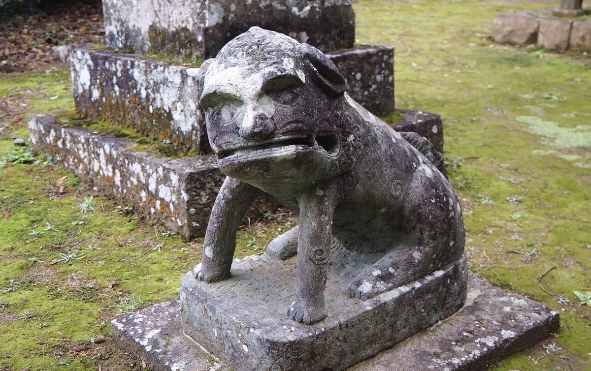 画像9