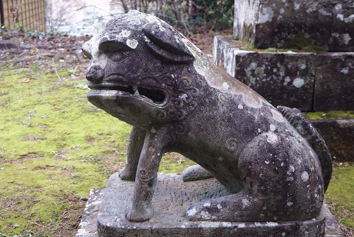 画像8