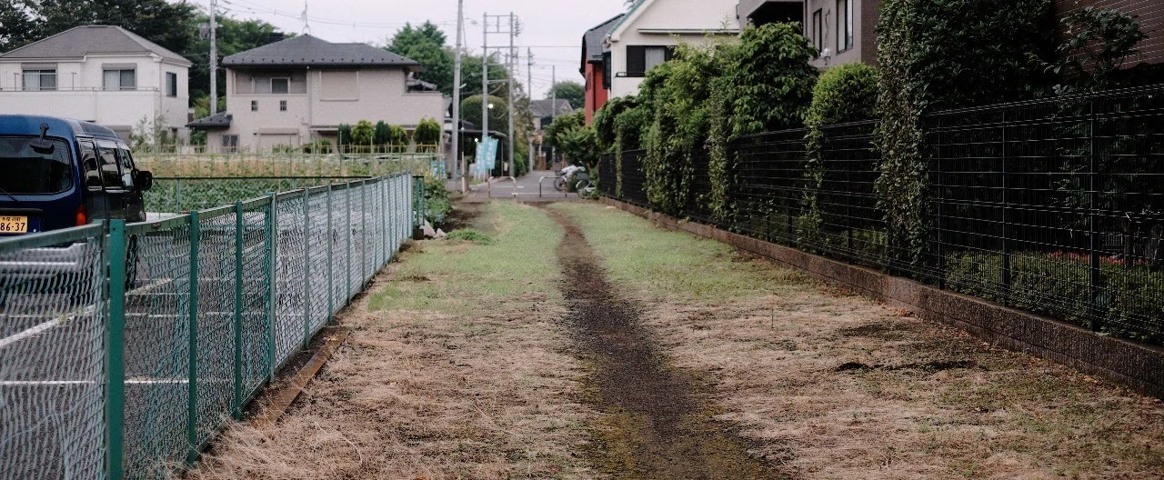 佐内正史の写真集「生きている」を読んだ感想と考察。相同性と対照性