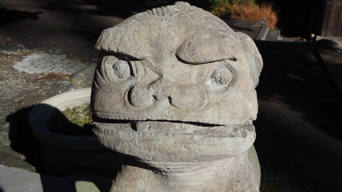 画像7