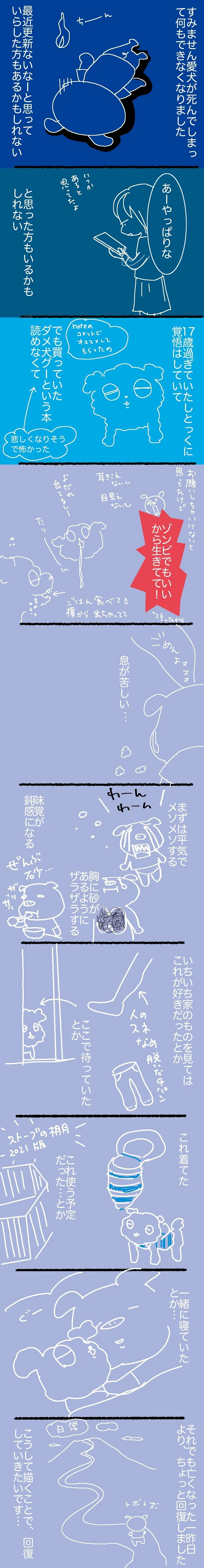 チョコ−１