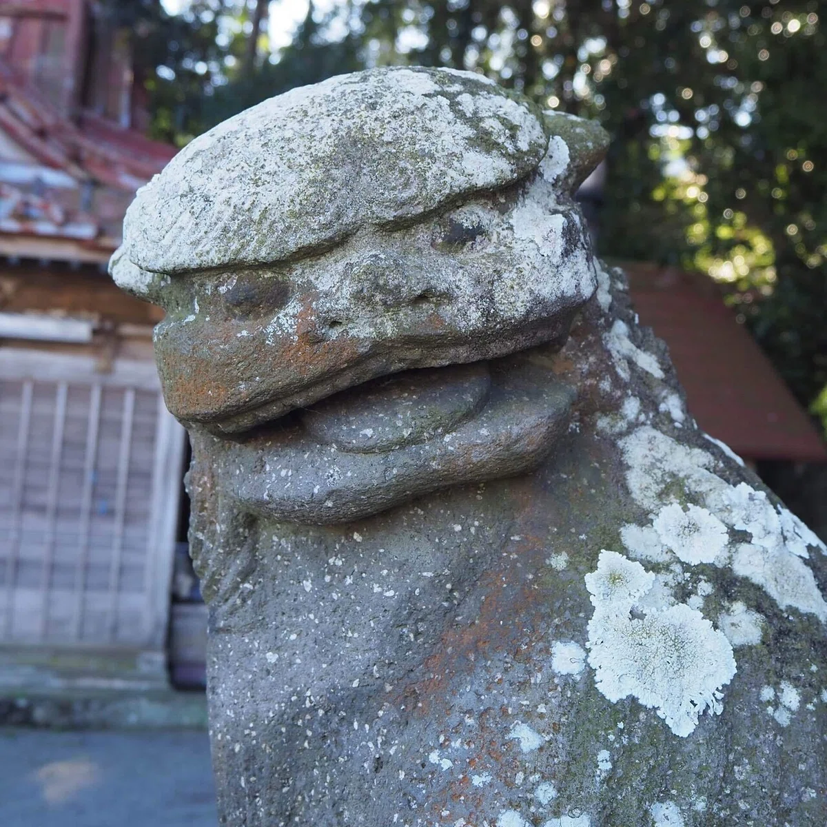 画像22
