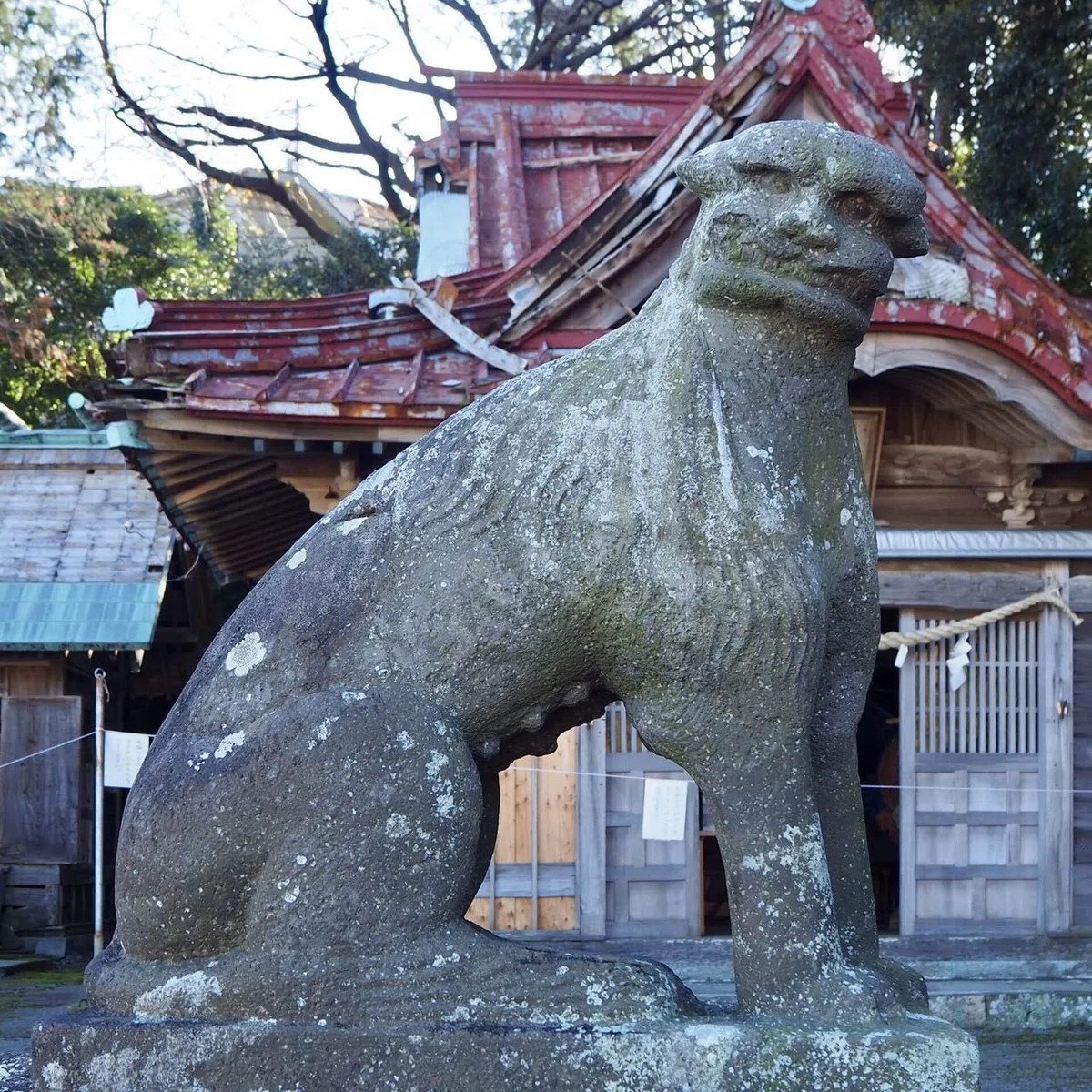 画像25