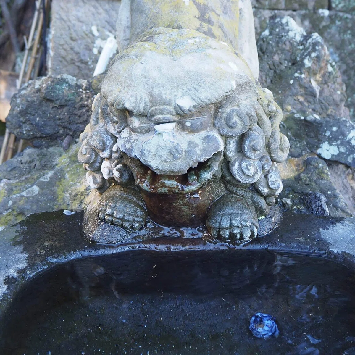画像28