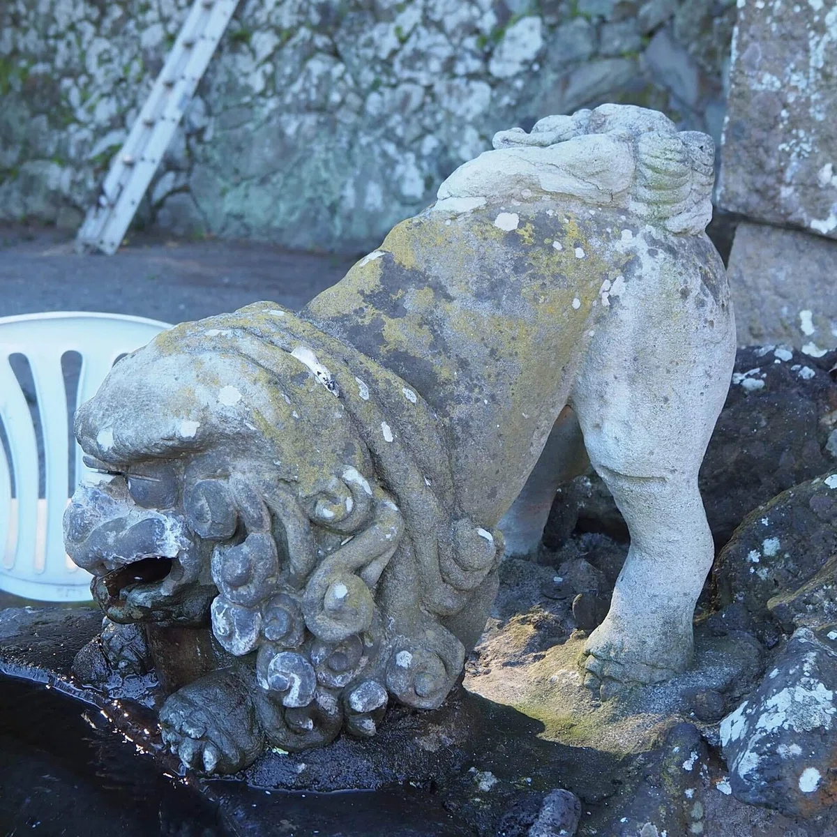 画像29