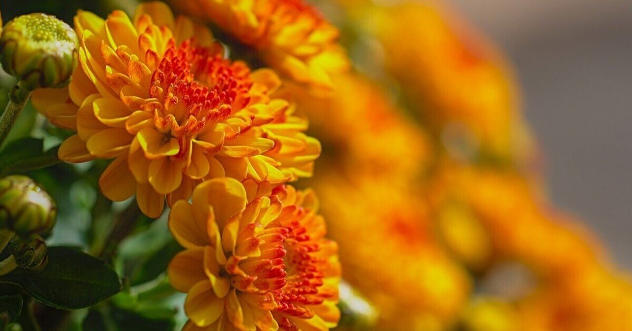 感謝についての10の聖句 と名言 バイブルライン Note 感謝についての10の聖句 と名言 バイブルライン Note