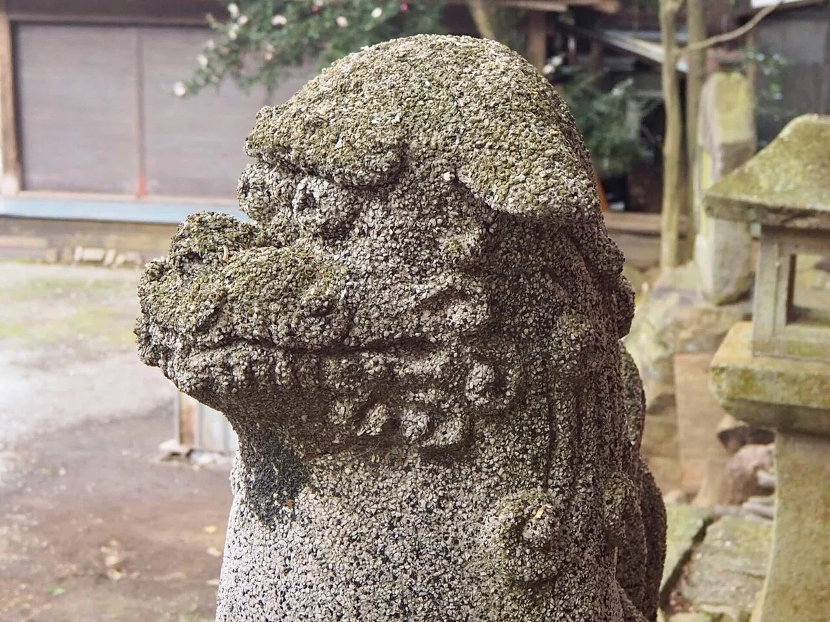 画像35