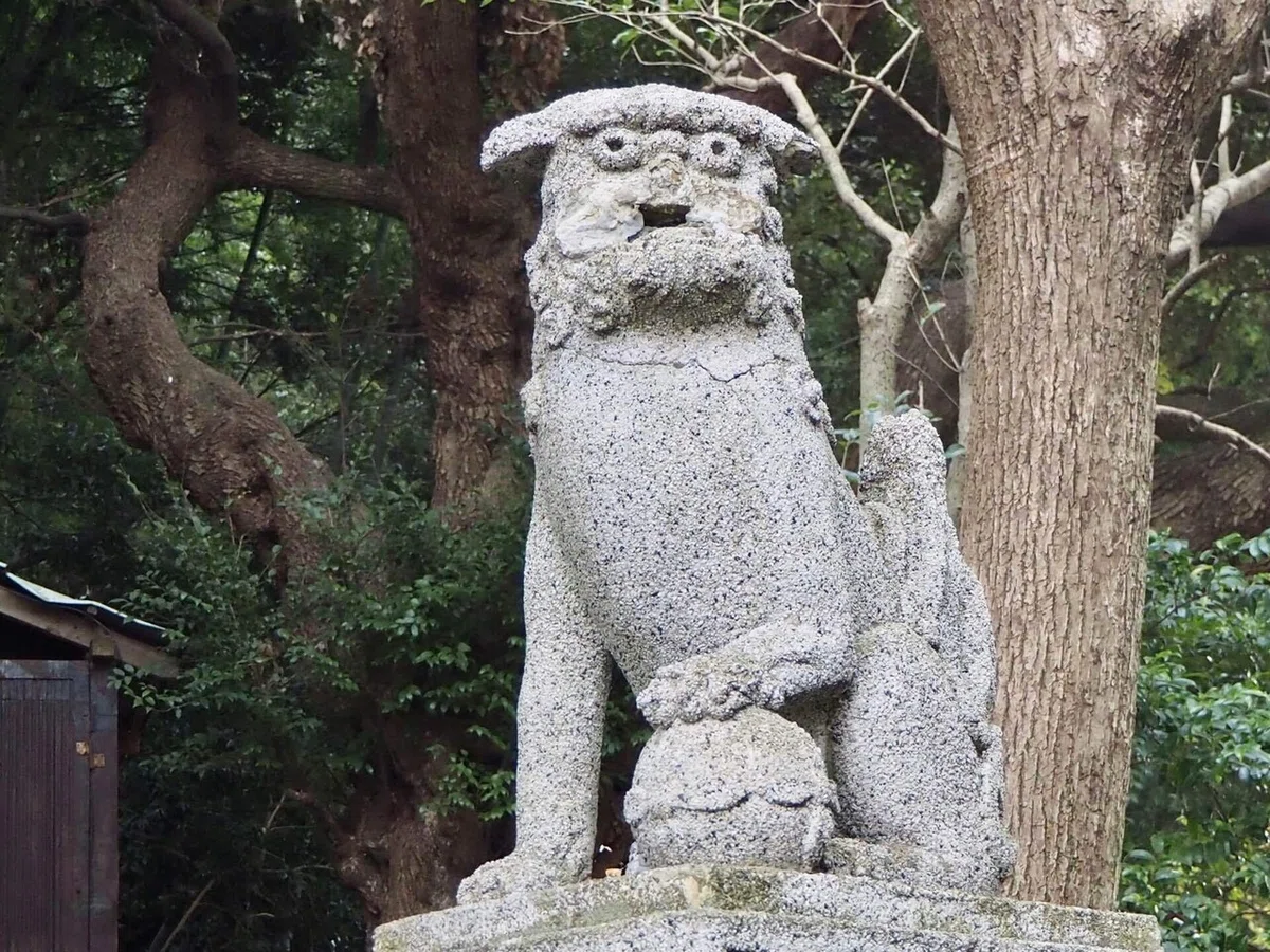 画像38