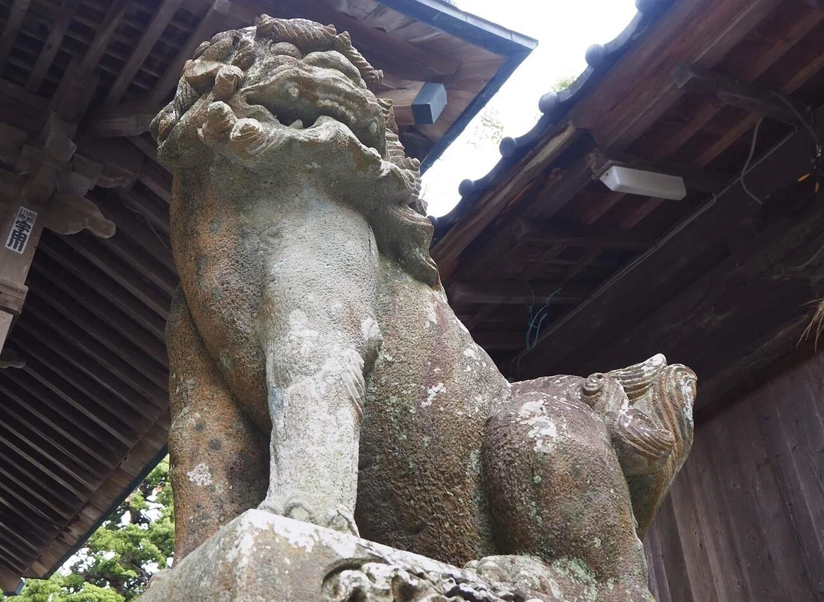 画像40