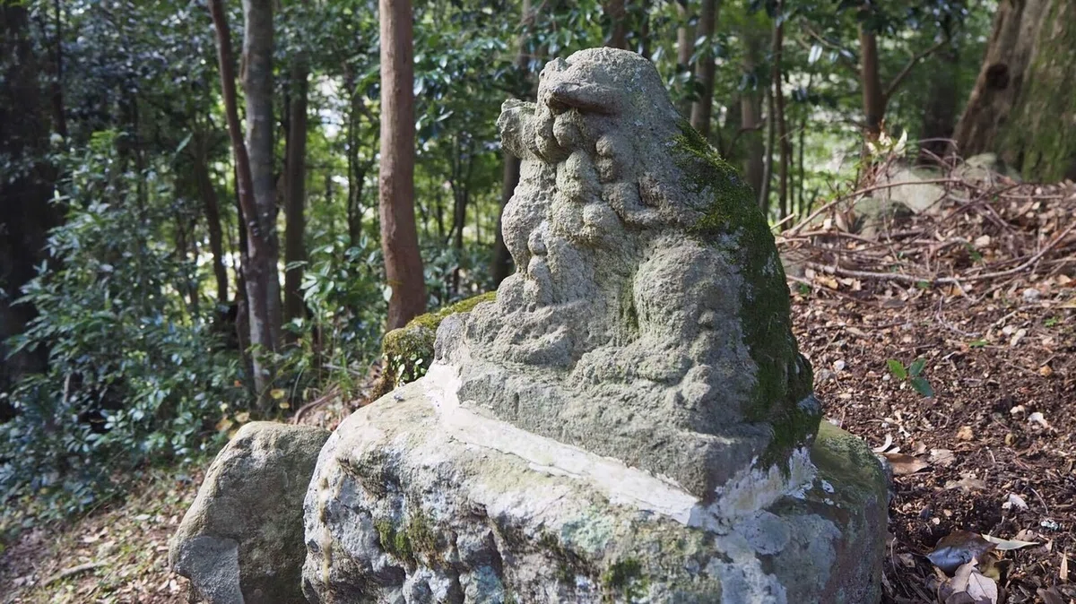 画像19