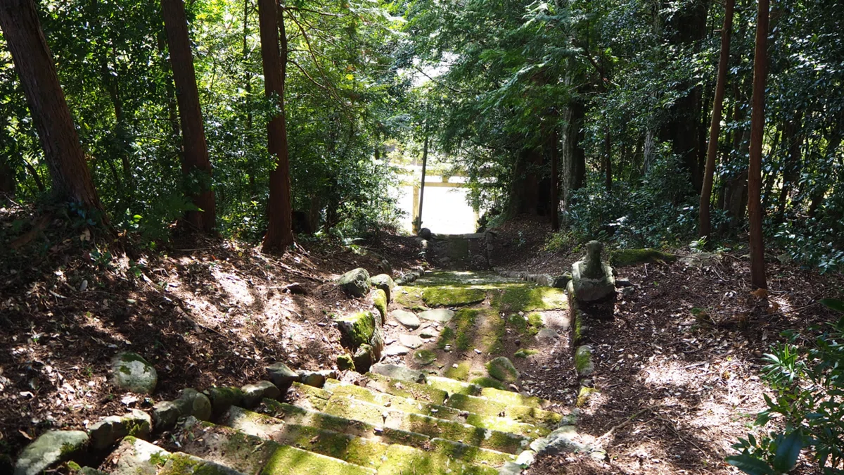 画像21
