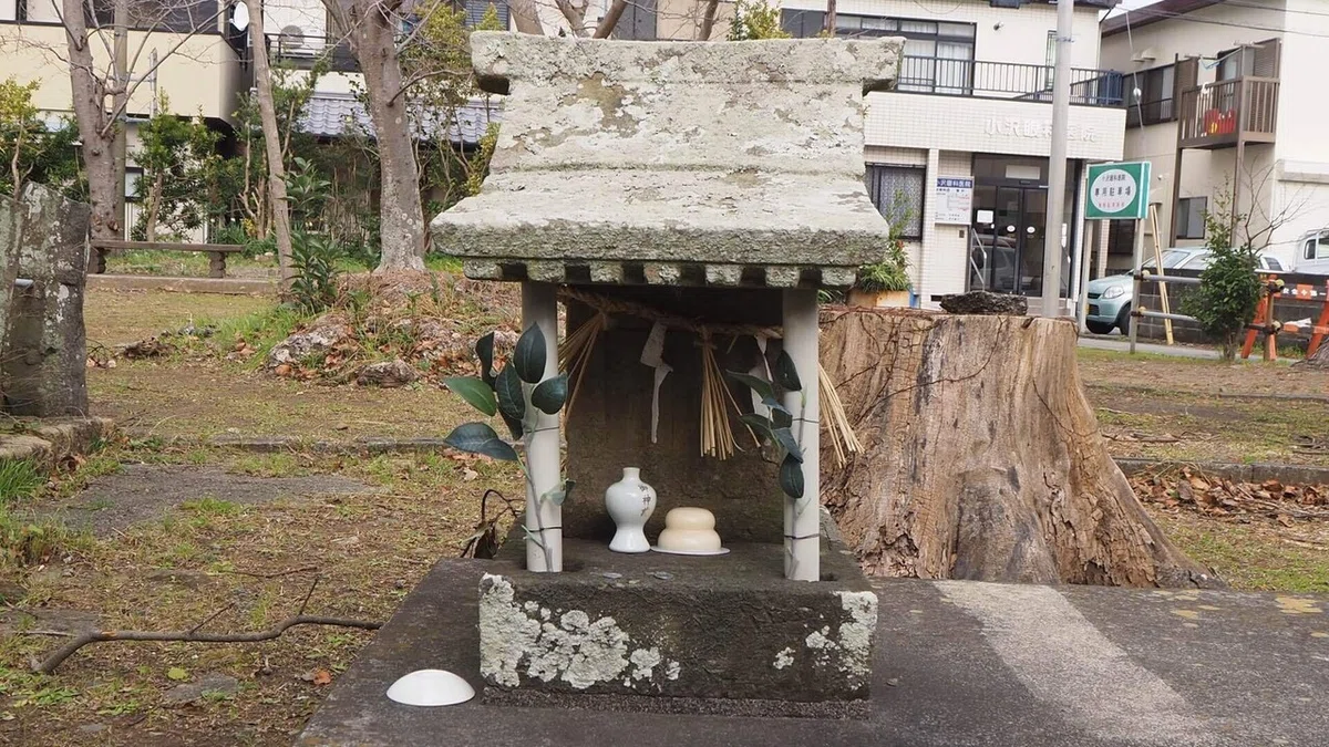 画像48