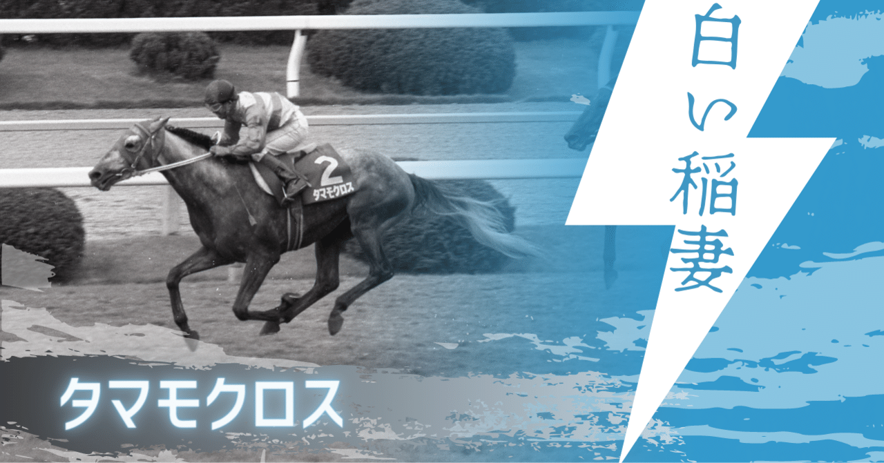 ウマ娘」では浪速の白い稲妻！タマモクロスの連勝と芦毛三番勝負