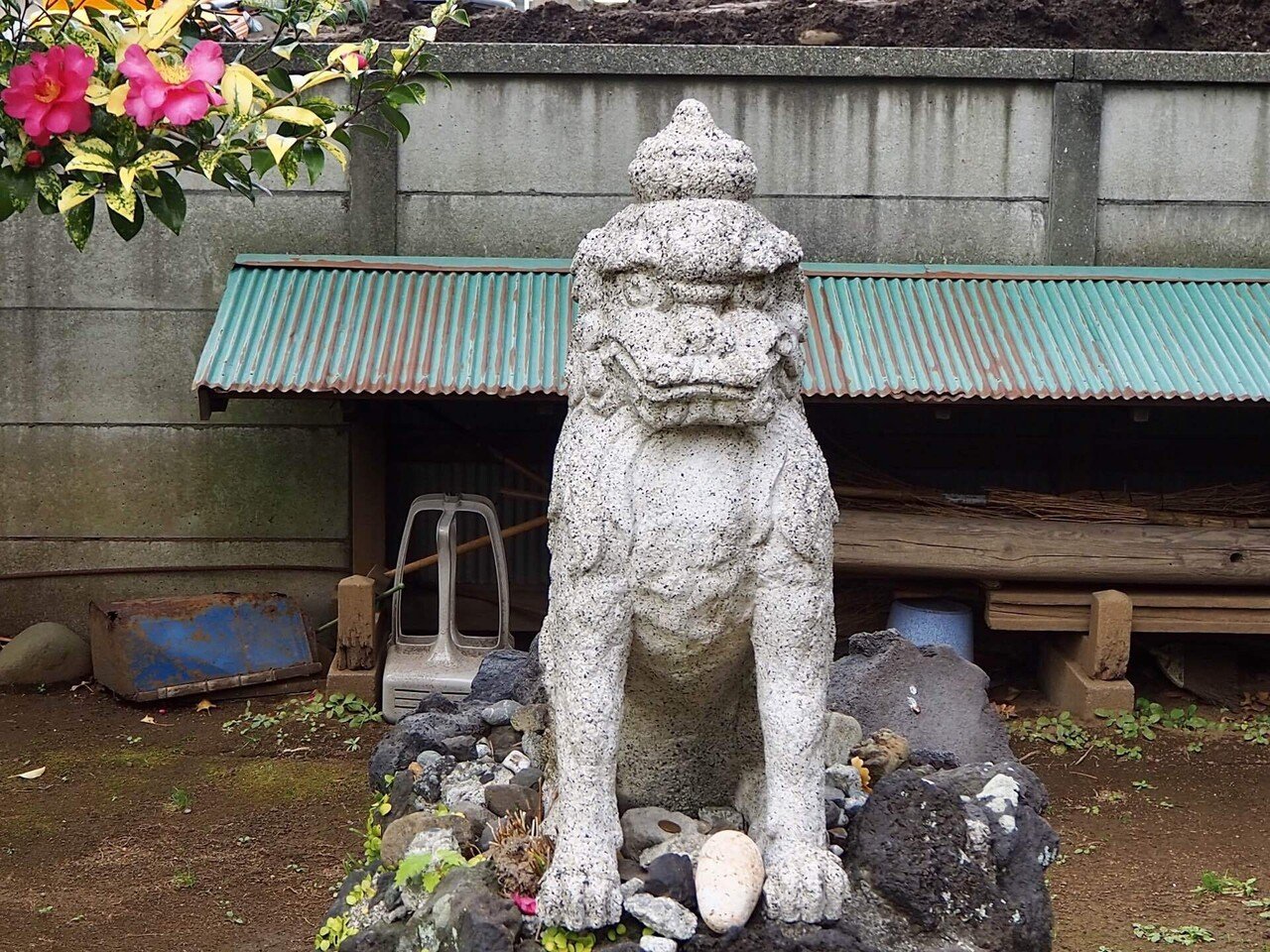 狛犬巡り2 (伊豆の狛犬 ② 7社2寺)｜之哲／Yuki Satoru