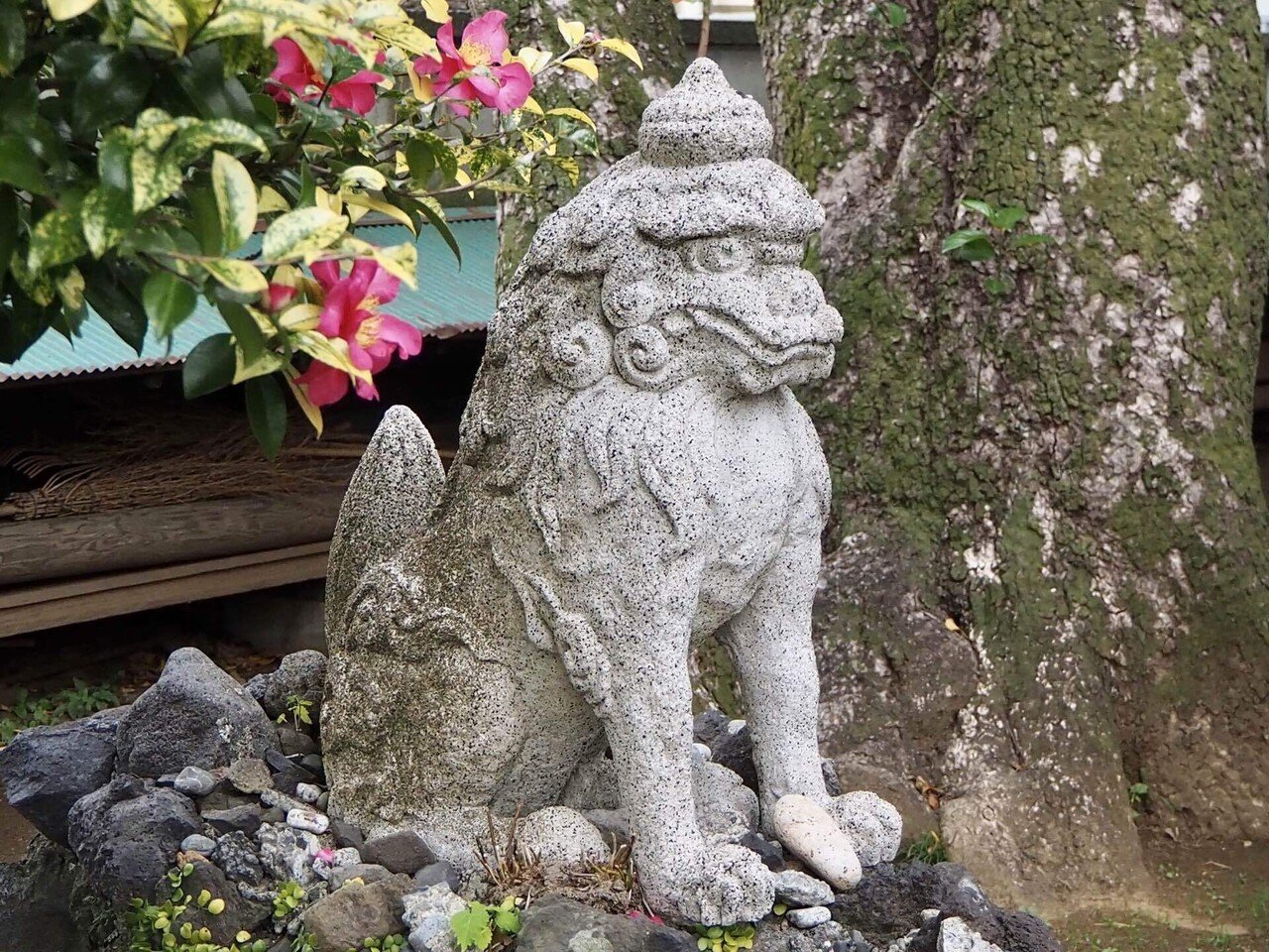 狛犬巡り2 (伊豆の狛犬 ② 7社2寺)｜之哲／Yuki Satoru