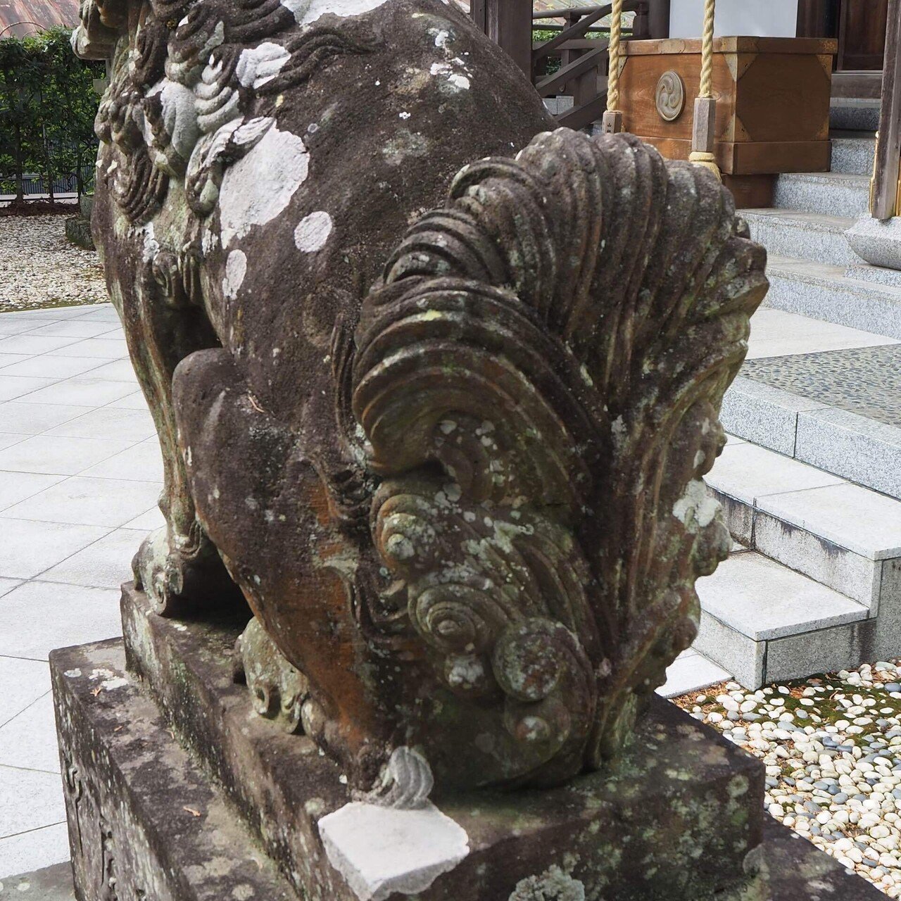 狛犬巡り2 (伊豆の狛犬 ② 7社2寺)｜之哲／Yuki Satoru