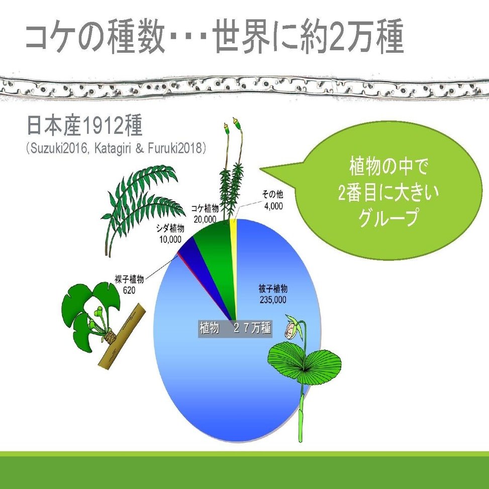 伝道師に学ぶ コケの魅力と楽しみ方 ブンイチ 文一総合出版 Note