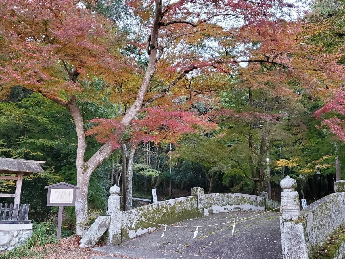 LINE_ALBUM_2021.11.19湖西紀行_211120_76