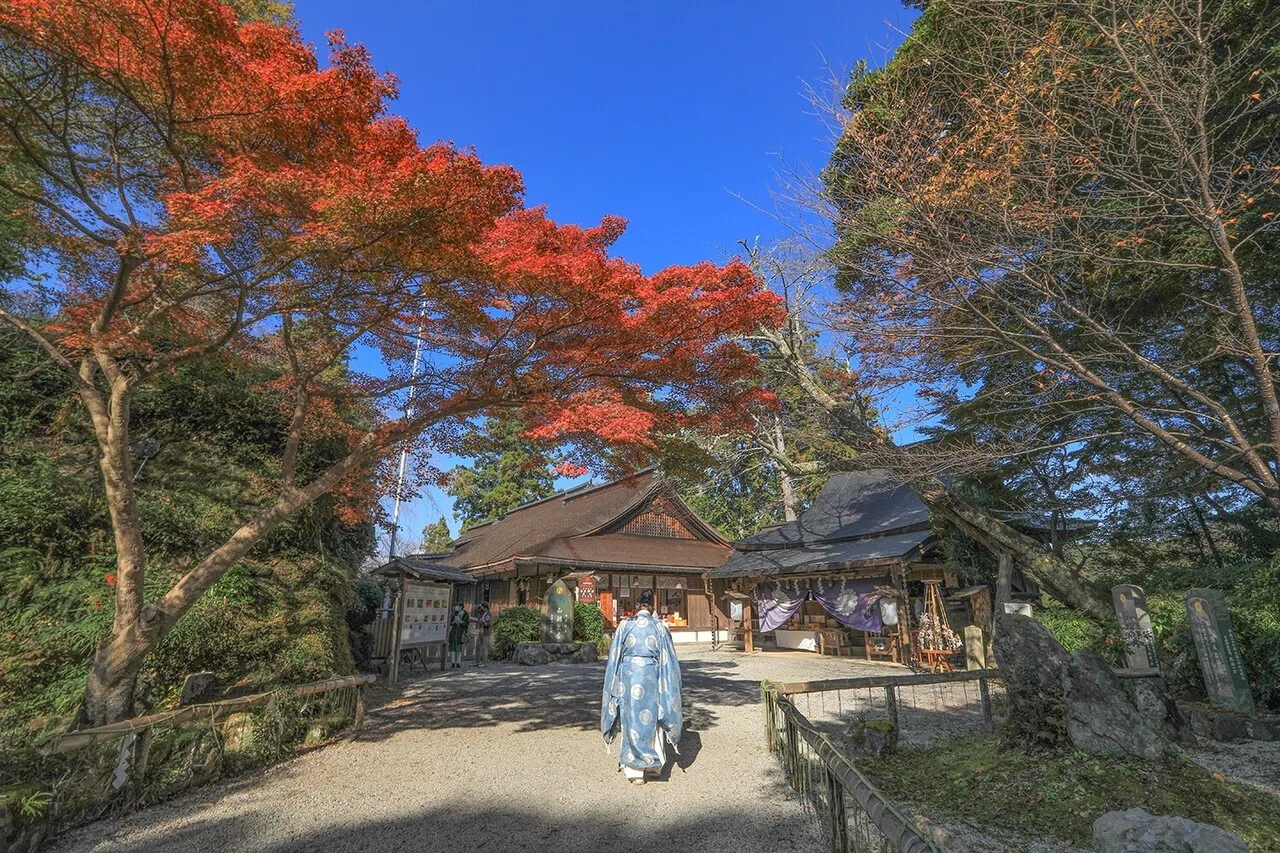 吉水神社の紅葉｜撮影散歩の旅
