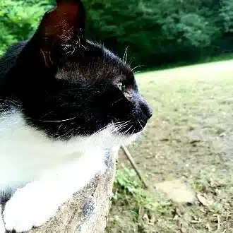naka