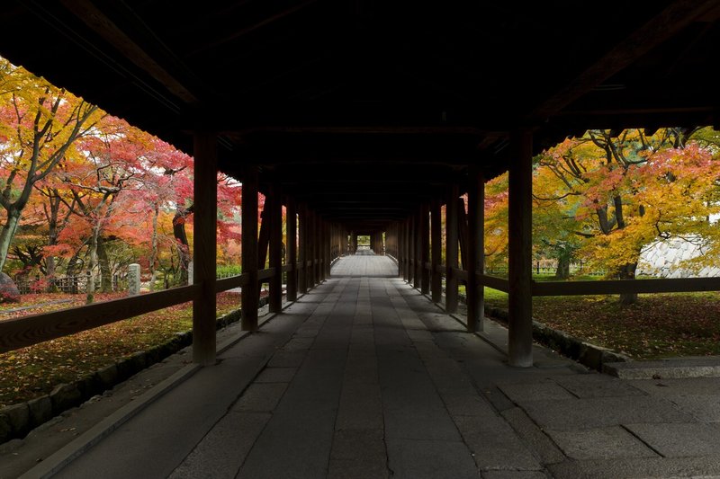 通天橋　紅葉014