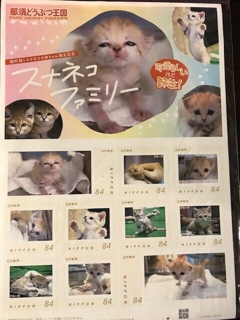 さよならスナネコ4姉妹｜sudacoffeemaster