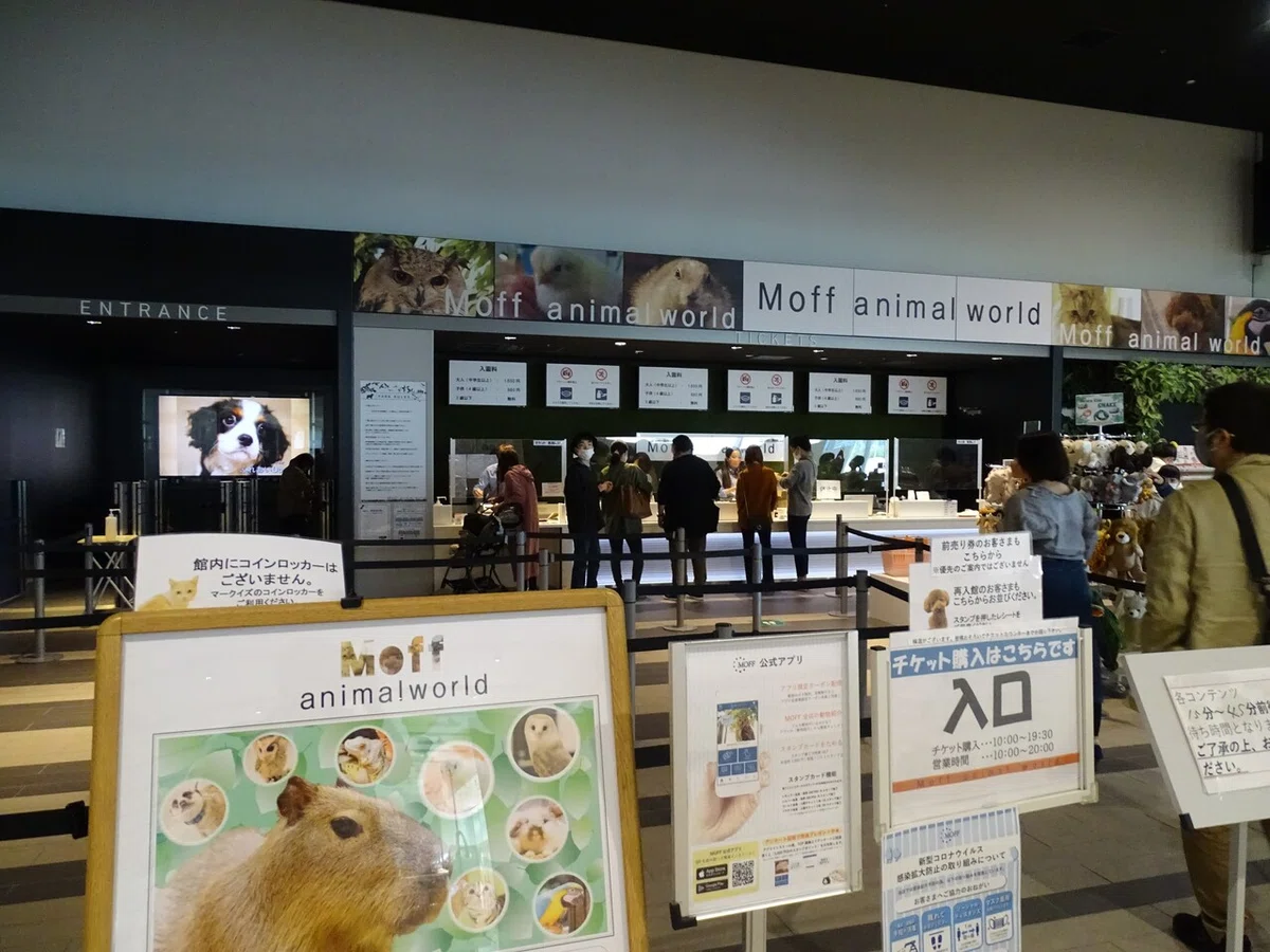 画像10