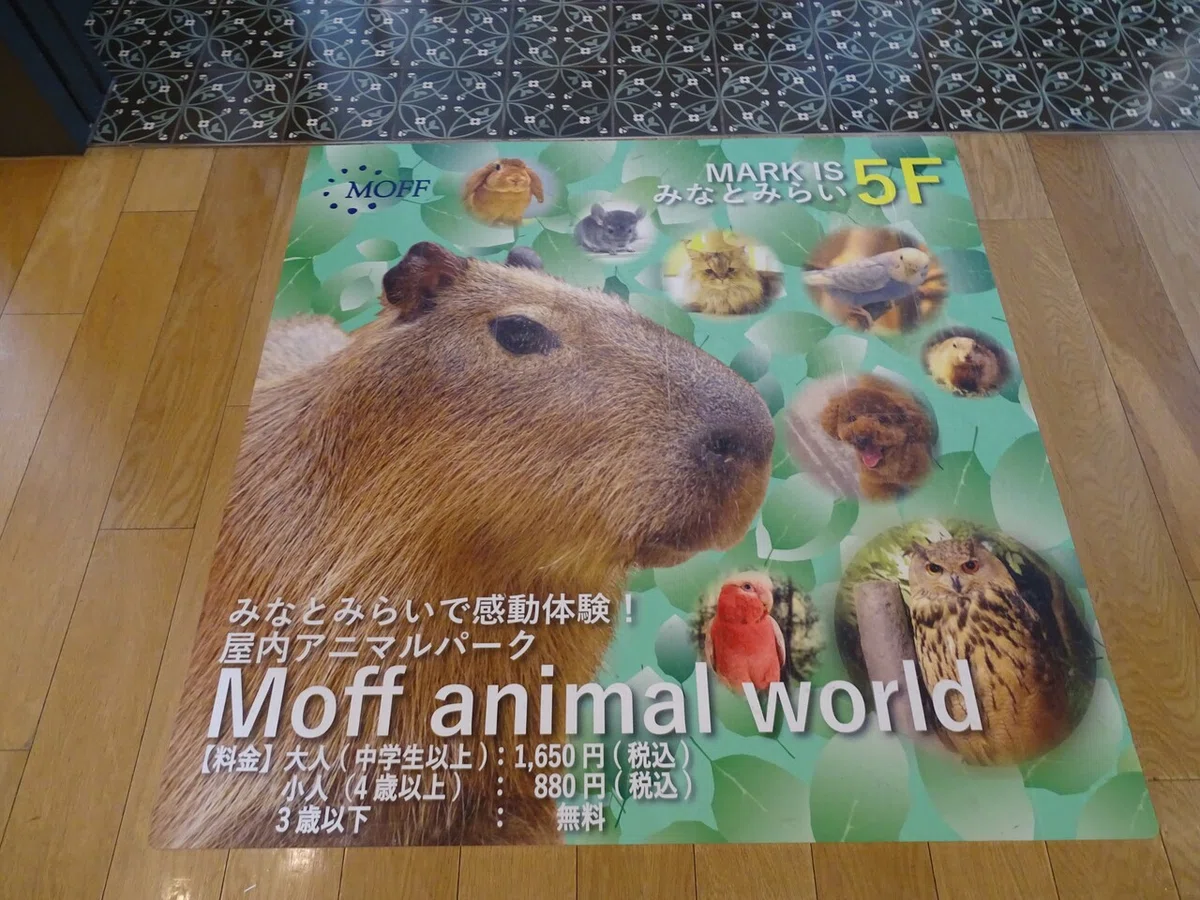 画像7