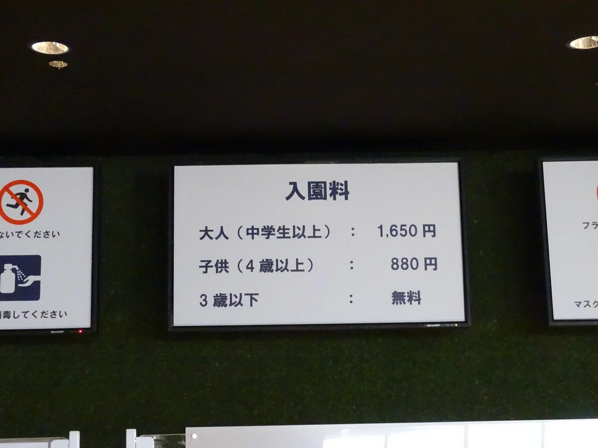 画像15