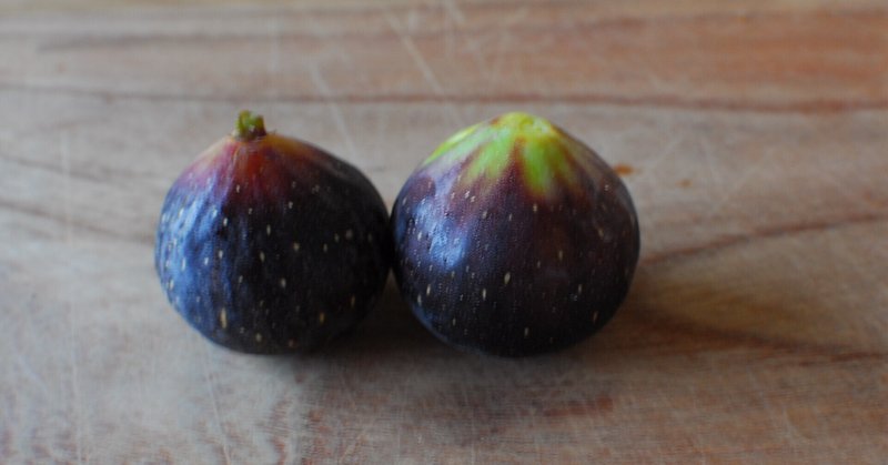 Fig Varieties 世界のいちじく育てよう まるはち果実園 Note