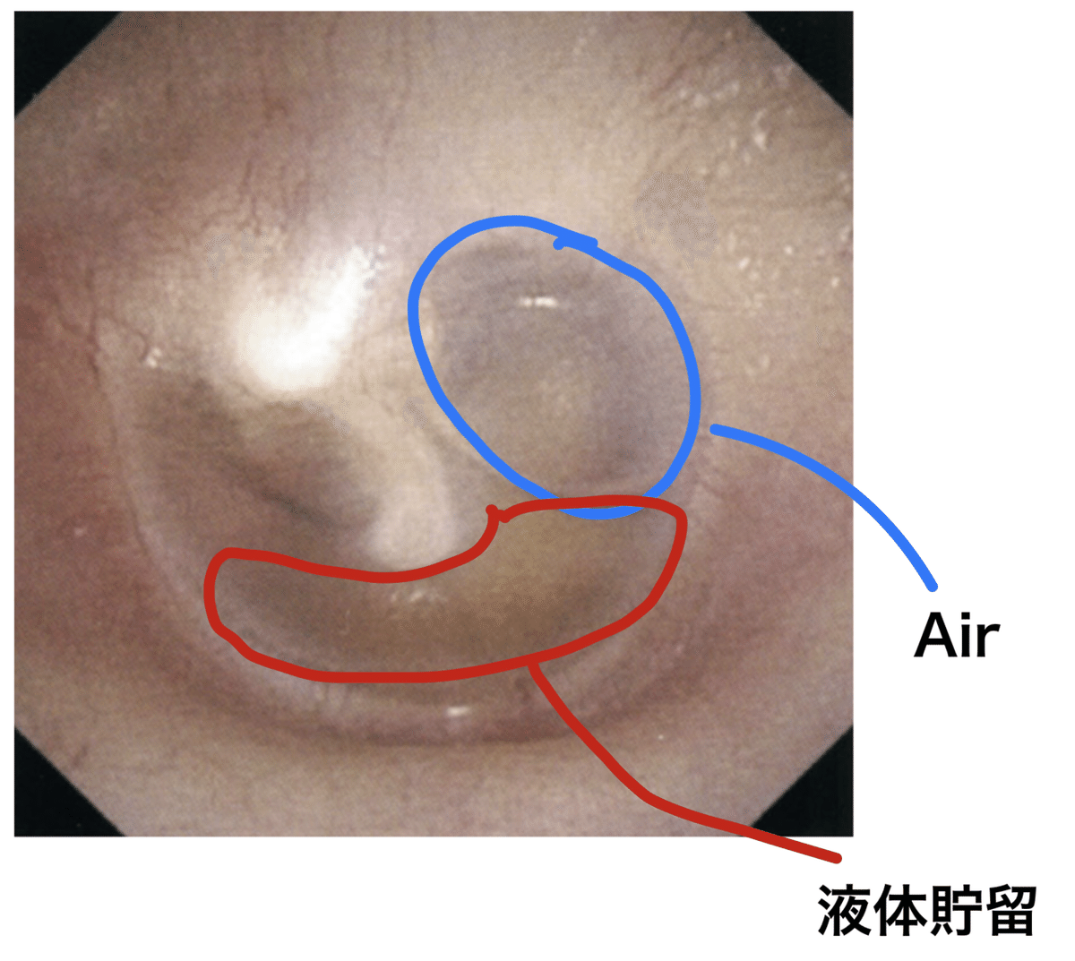 画像12