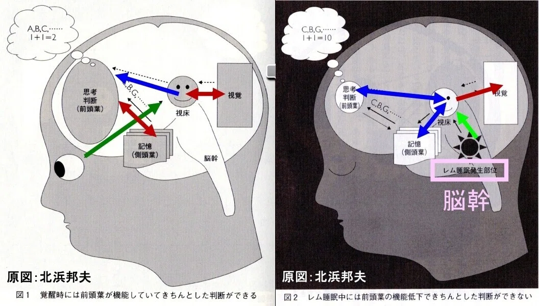 夢って何？③脳科学が説明する「夢のメカニズム」｜高田公理