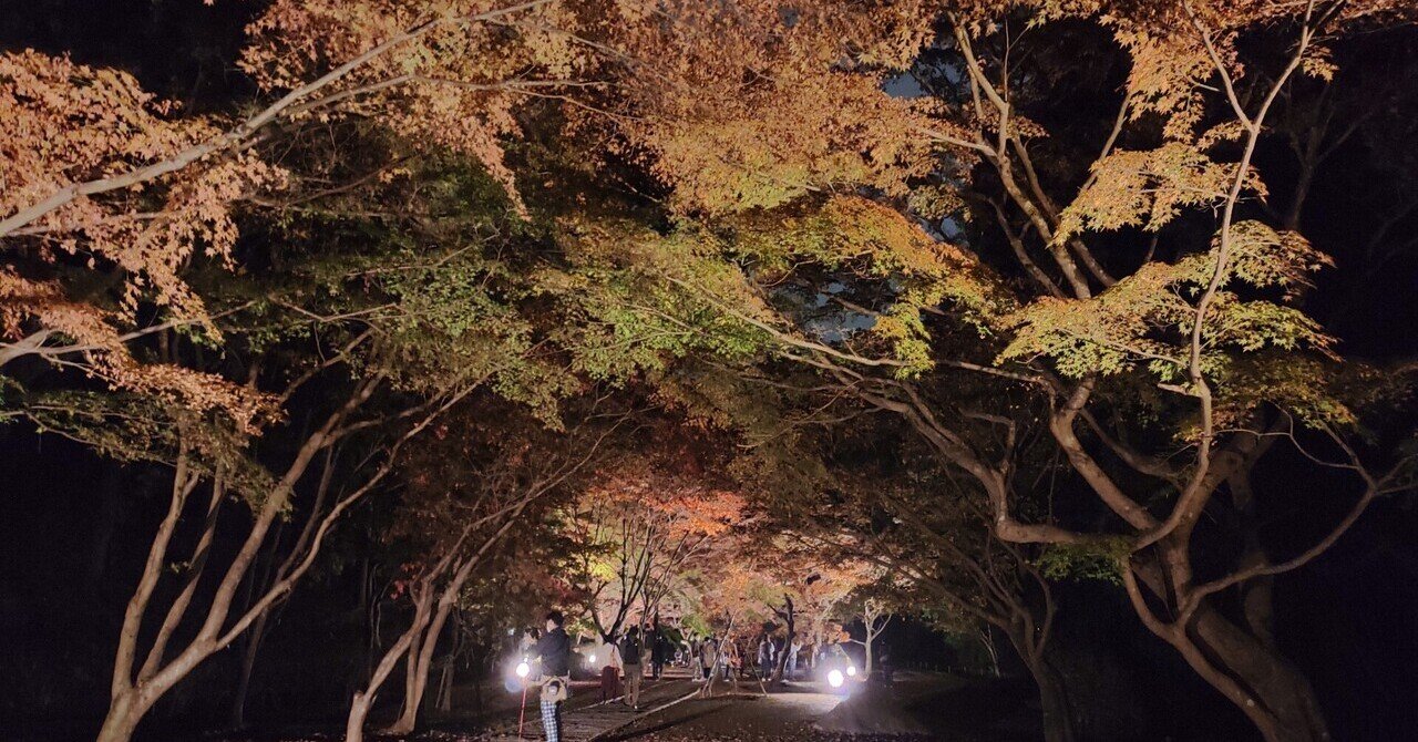 【中古】 夜に開くはお水の花/講談社/城戸口静 中古】 夜に開くはお水の花/講談社/城戸口静