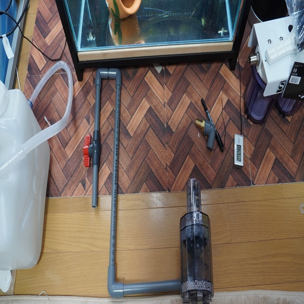 チャンナプルクラ水槽 フィッシュレット改造 オオハシさん Note