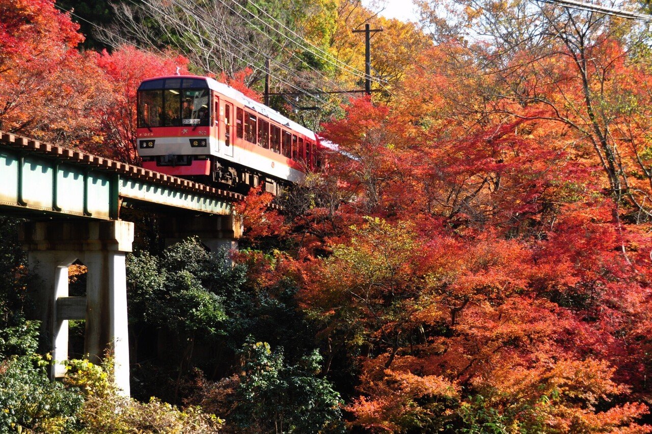 絶景紅葉列車の旅－個人的オススメ8選｜野田周作