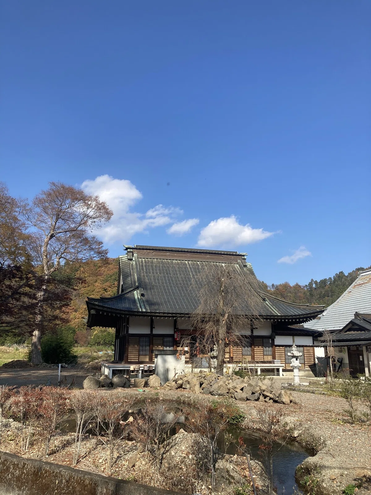 画像11
