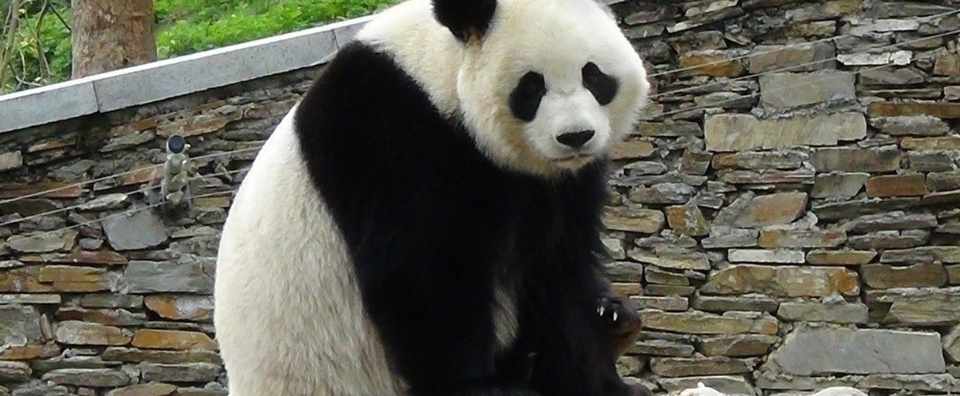 働かない女 たまちゃん Mtakanashi Note