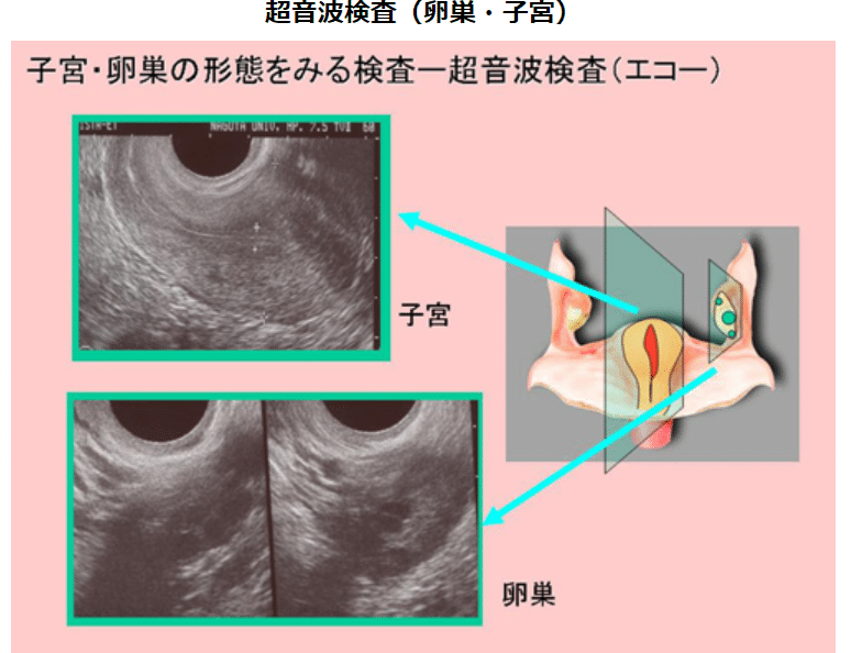 画像10