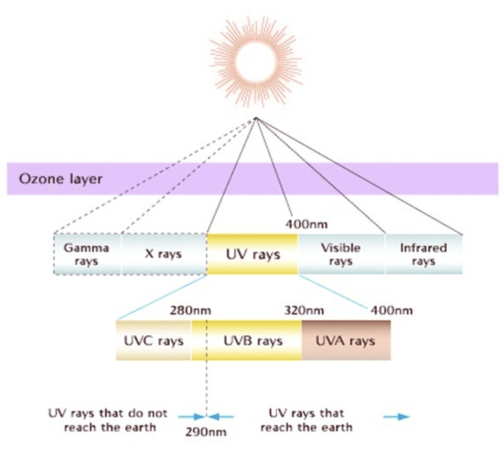 太陽から降り注ぐ光の種類