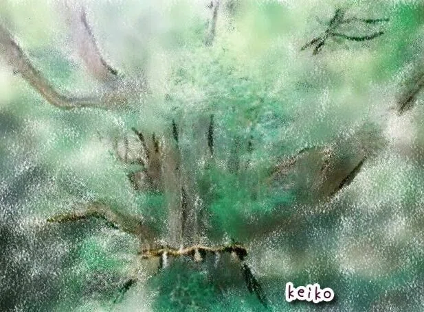 落河内のカツラ_k