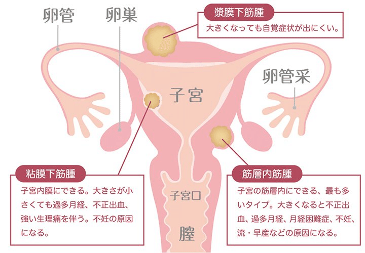 画像12