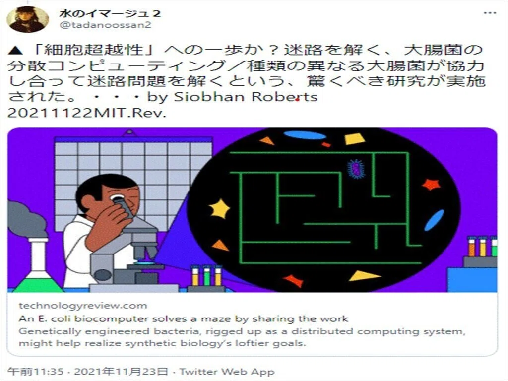 シュードウリジン2_R