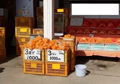 みかん直売