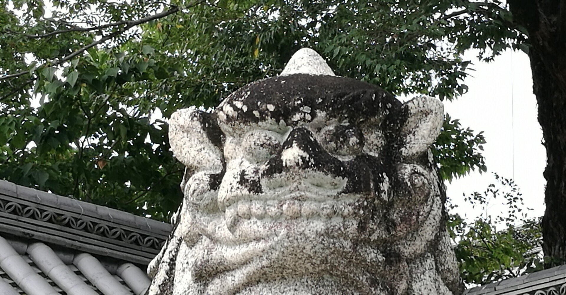 北野天満宮の狛犬⑩｜komajin