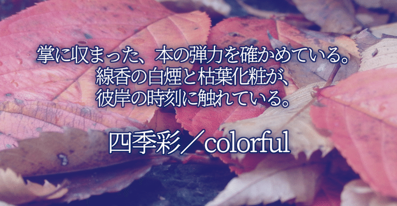 四季彩／colorful