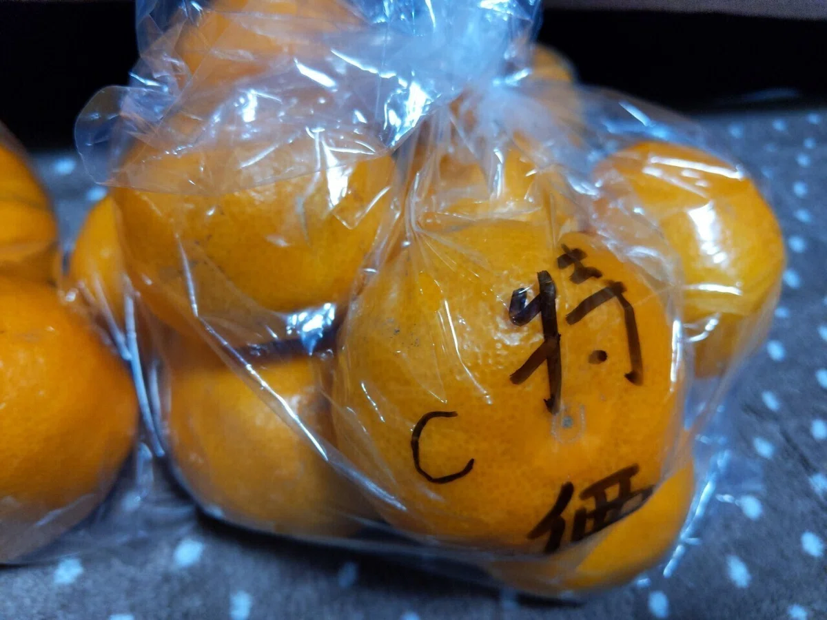みかんソートC1