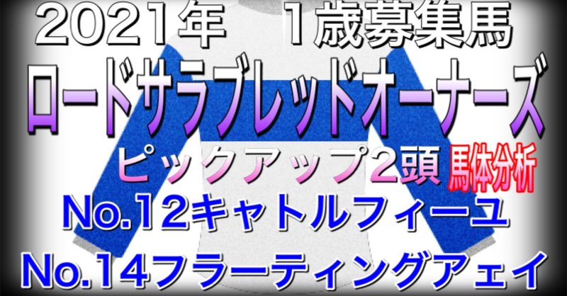 ロードサラブレッドオーナーズ　2021年　1歳募集馬　ピックアップ2頭　キャトルフィーユ20　フラーティングアェイ20 馬体分析