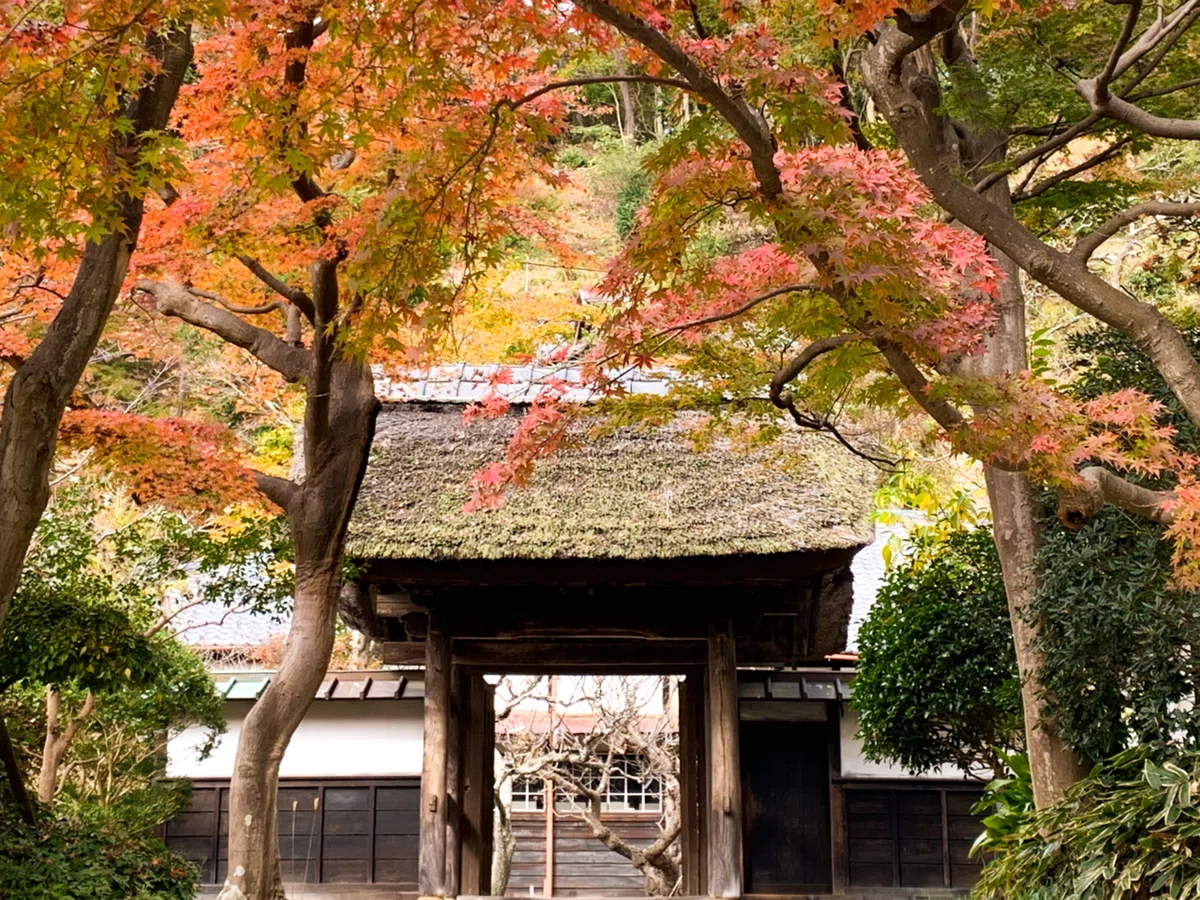 画像2