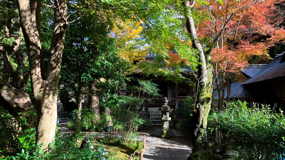 画像6